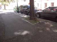 Praha 1 – Obnova parku na Hradčanském náměstí